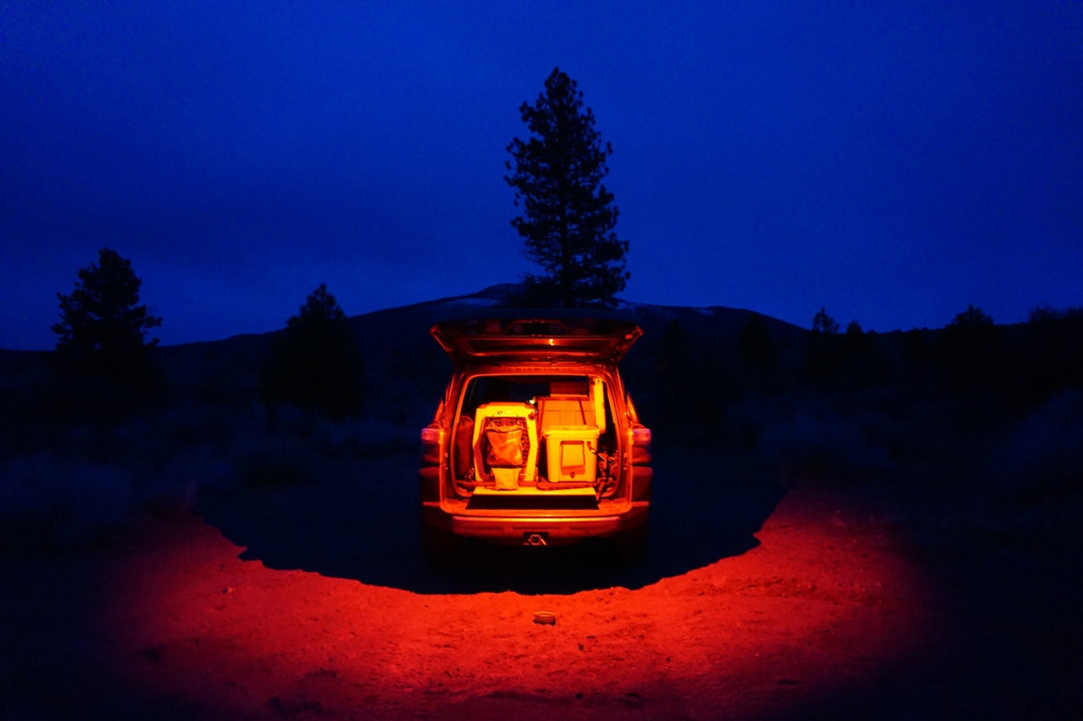 Baja Designs LED Dome Light with Switch - Universal