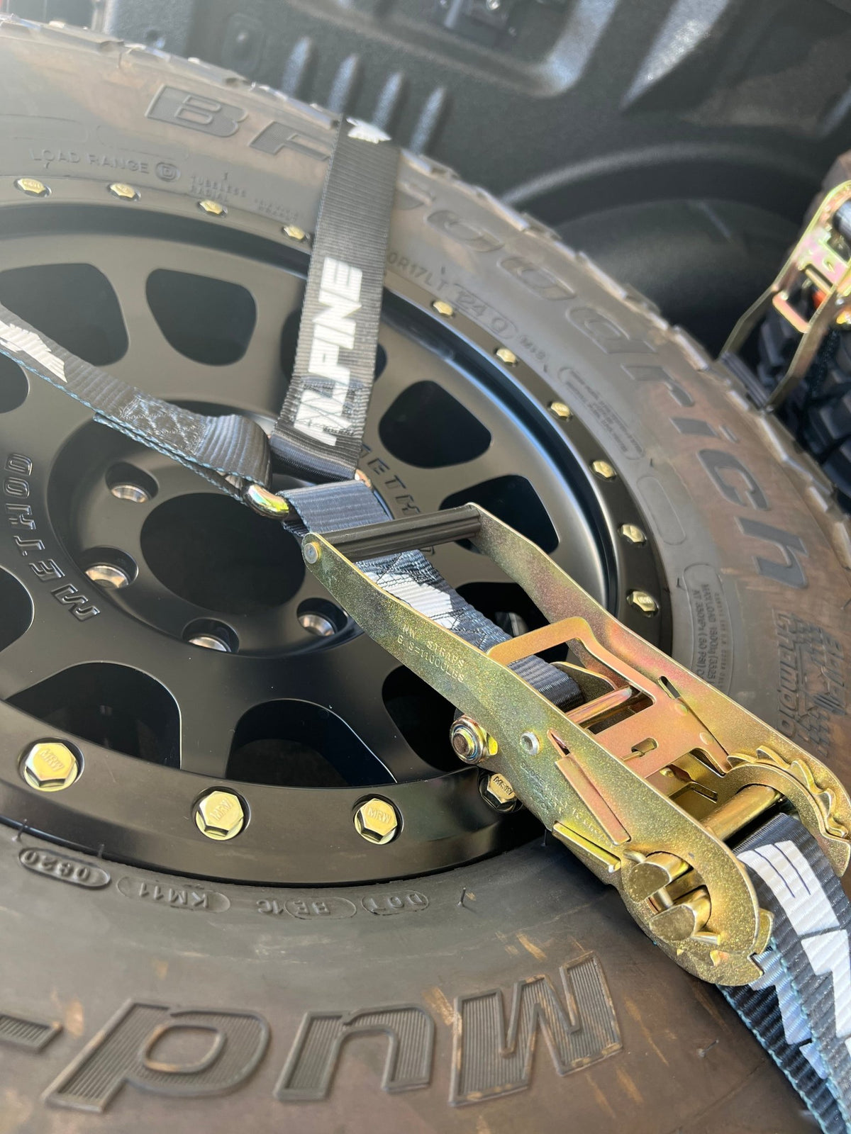 2" Alpine Trooper Y Strap - Xtrusion Overland