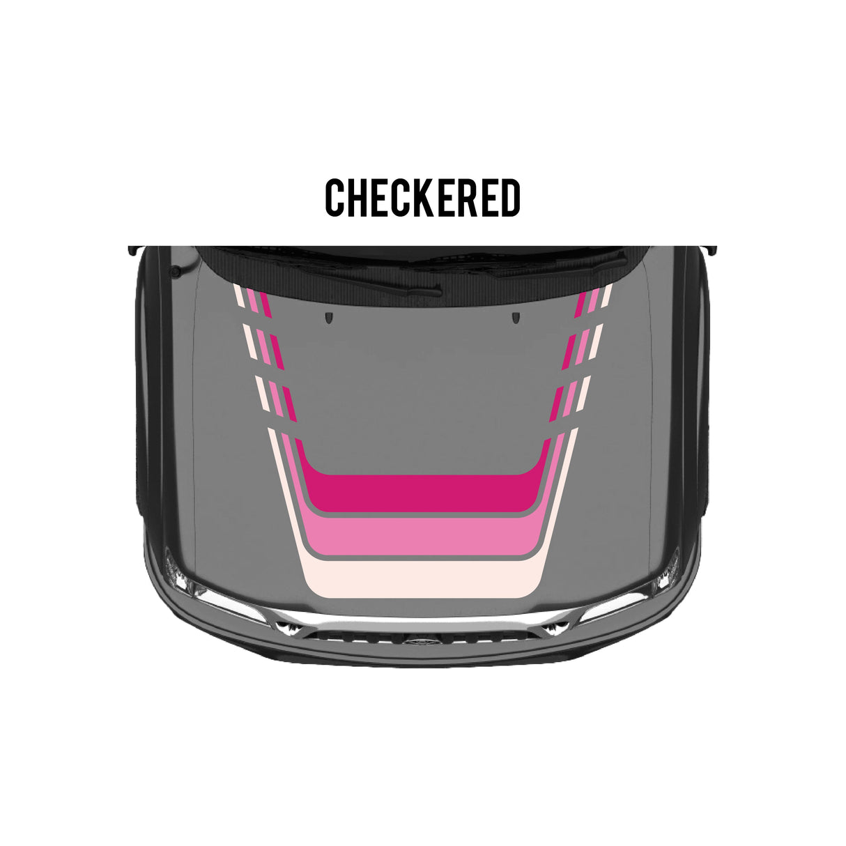 2001-04 Tacoma Checkered Stripe Kit
