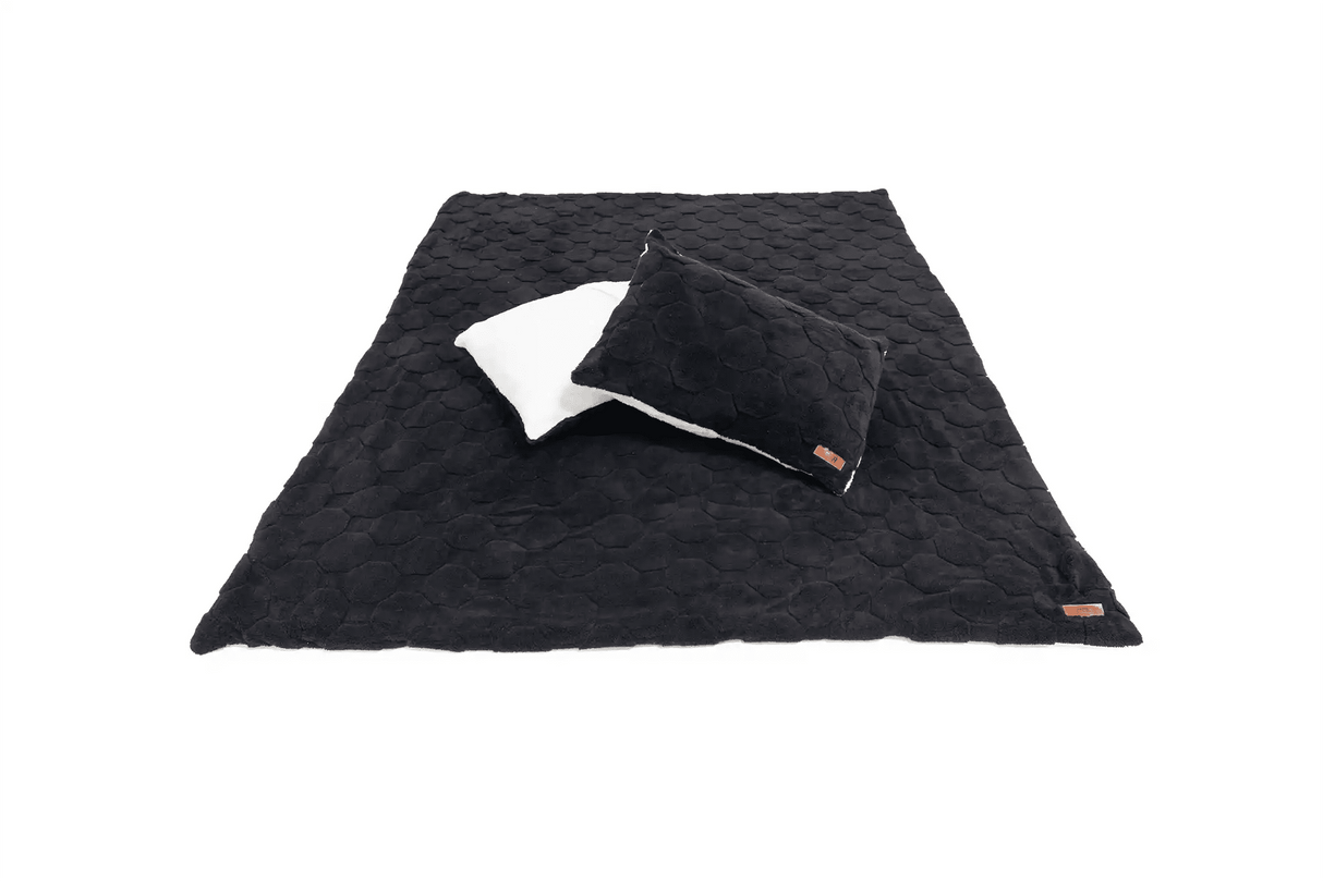 Cloud Comforter & Pillow Case Set - Xtrusion Overland