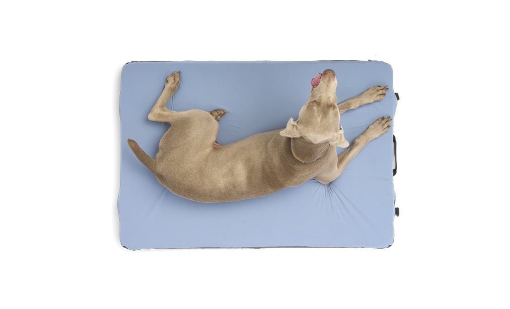HEST Dog Bed - Xtrusion Overland