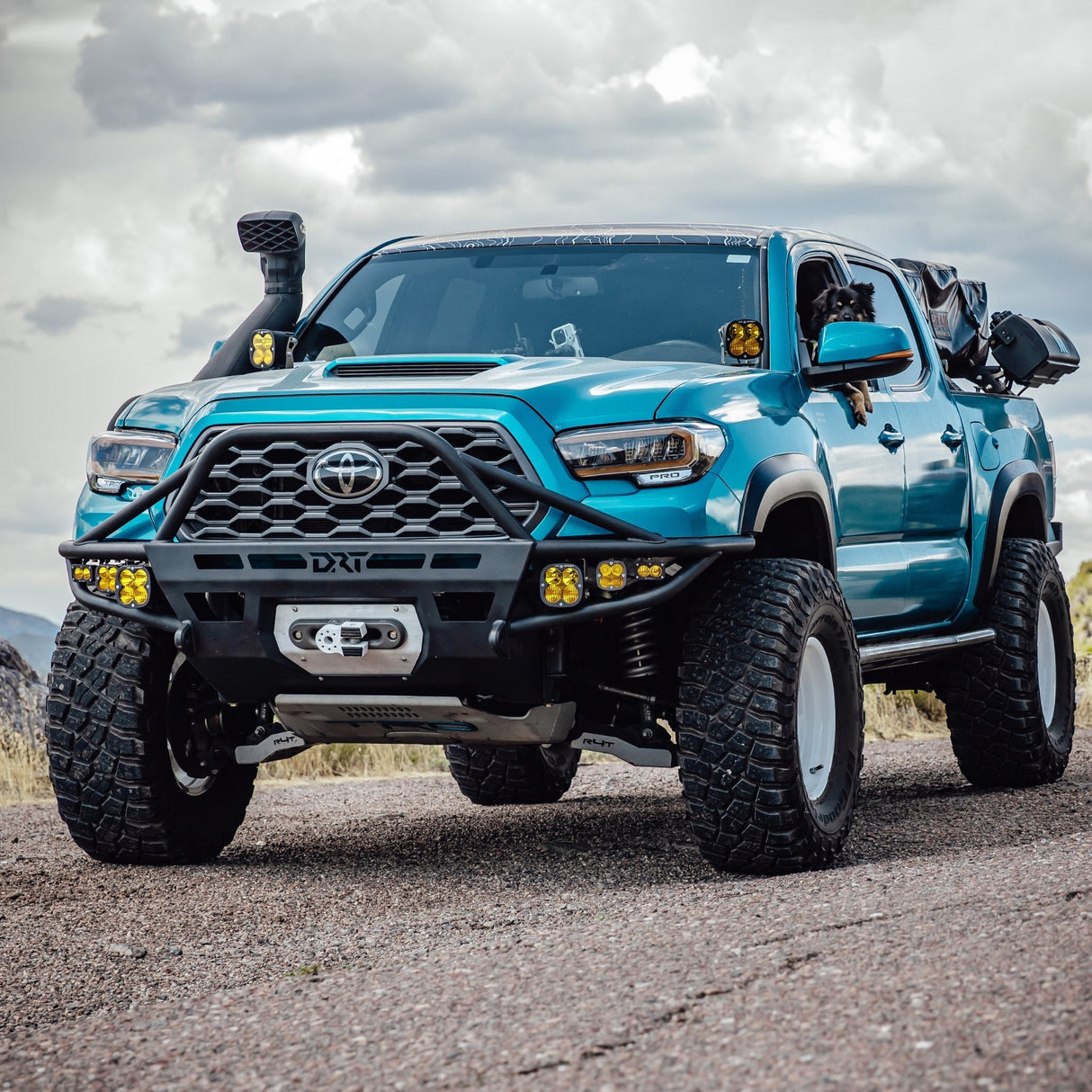 Tacoma Hybrid Front Bumper / 3rd gen / 2016 - 2023 - Xtrusion Overland