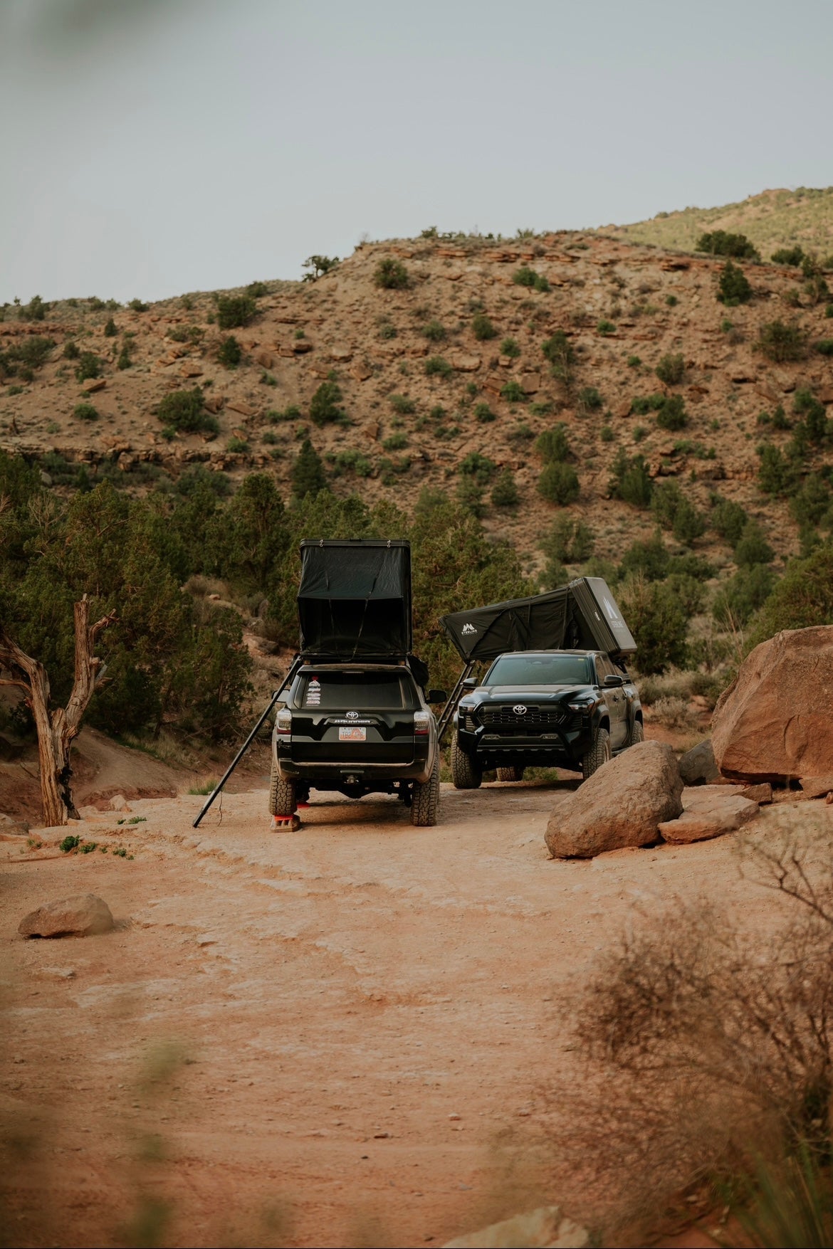 Uinta Box Shell Rooftop Tent - Xtrusion Overland