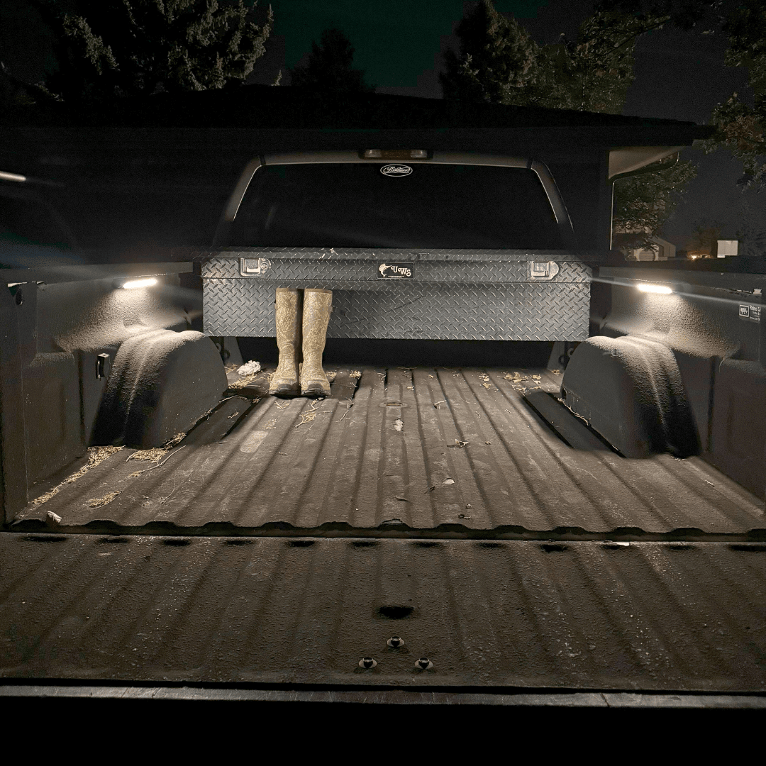 V-Series 12" Light - Xtrusion Overland