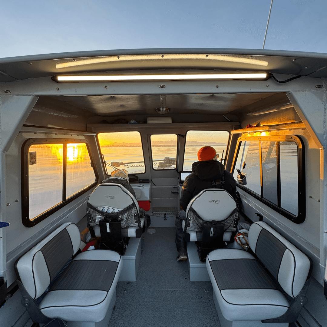 V-Series 40" Light - Xtrusion Overland