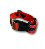 ALPINE Dog Collars