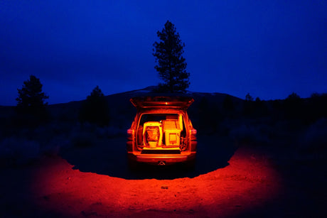 Baja Designs LED Dome Light with Switch - Universal