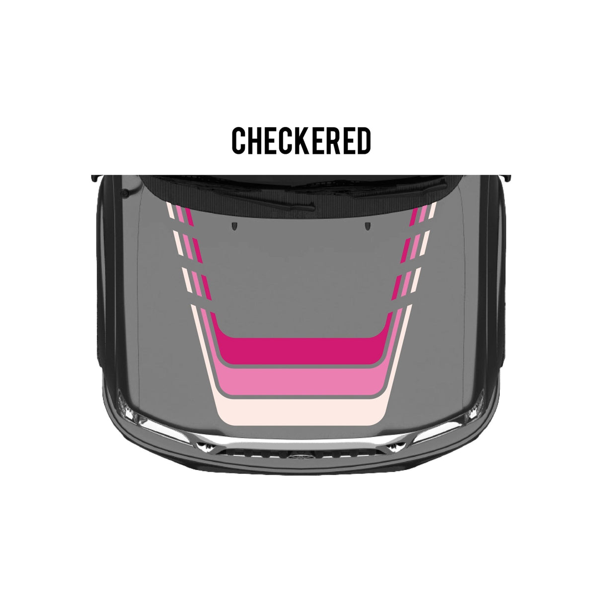 2001-04 Tacoma Checkered Stripe Kit - Xtrusion Overland