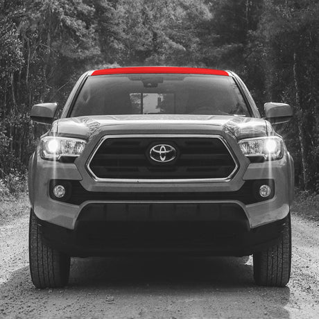 2016-23 Tacoma PPF Roof Rack Guard - Xtrusion Overland