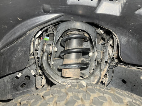 2017-2020 Ford Raptor Splash Guards - Xtrusion Overland