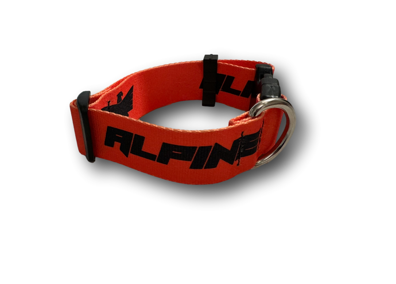 ALPINE Dog Collars