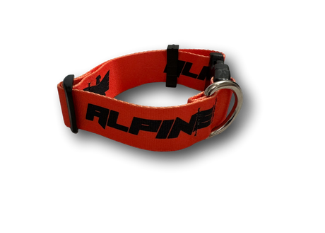 ALPINE Dog Collars