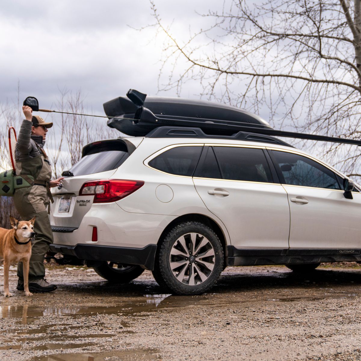 subaru outback fishing rod holder Amazon.com: ZJALDAGZ Car Fishing Rod Holder for Subaru XV Forester Outback  Impreza BRZ WRX Legacy, Car Roof Fishing Rod Storage Rack Pole Storage  Strap Adjustable Buckle Holder Pole Carrier Rack Inside,B :
