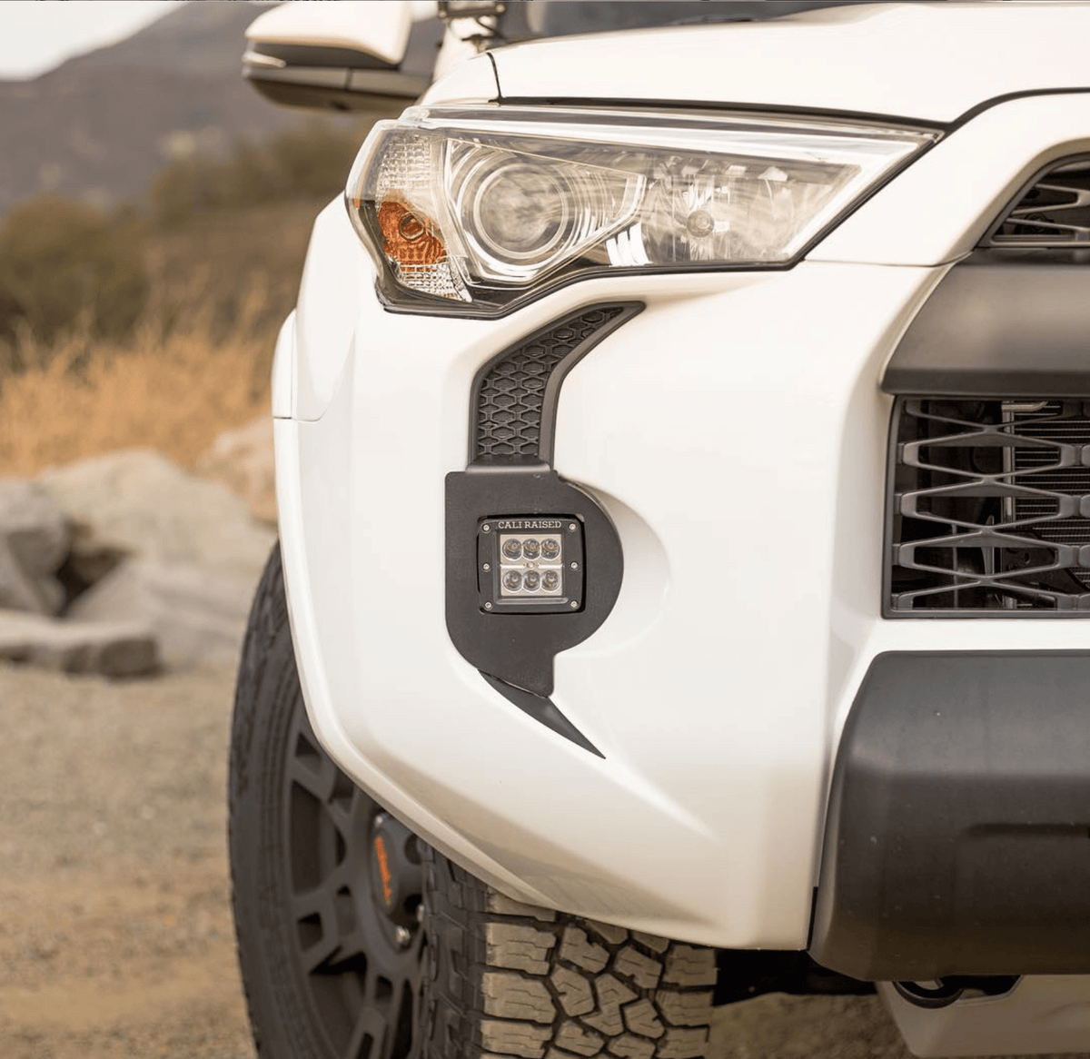 4Runner Foglight Fangs (5th Gen) - Xtrusion Overland