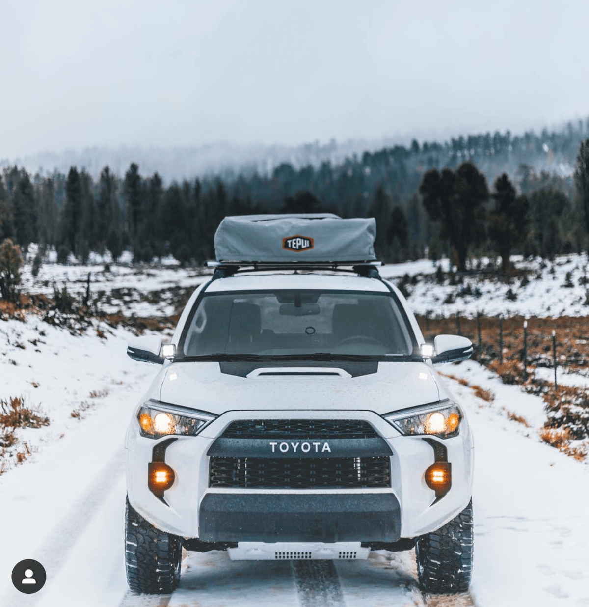 4Runner Foglight Fangs (5th Gen) - Xtrusion Overland
