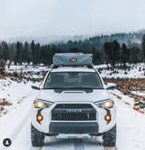 4Runner Foglight Fangs (5th Gen) - Xtrusion Overland