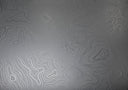 4Runner Shorty Scoop Stamp 5th Gen - Xtrusion Overland