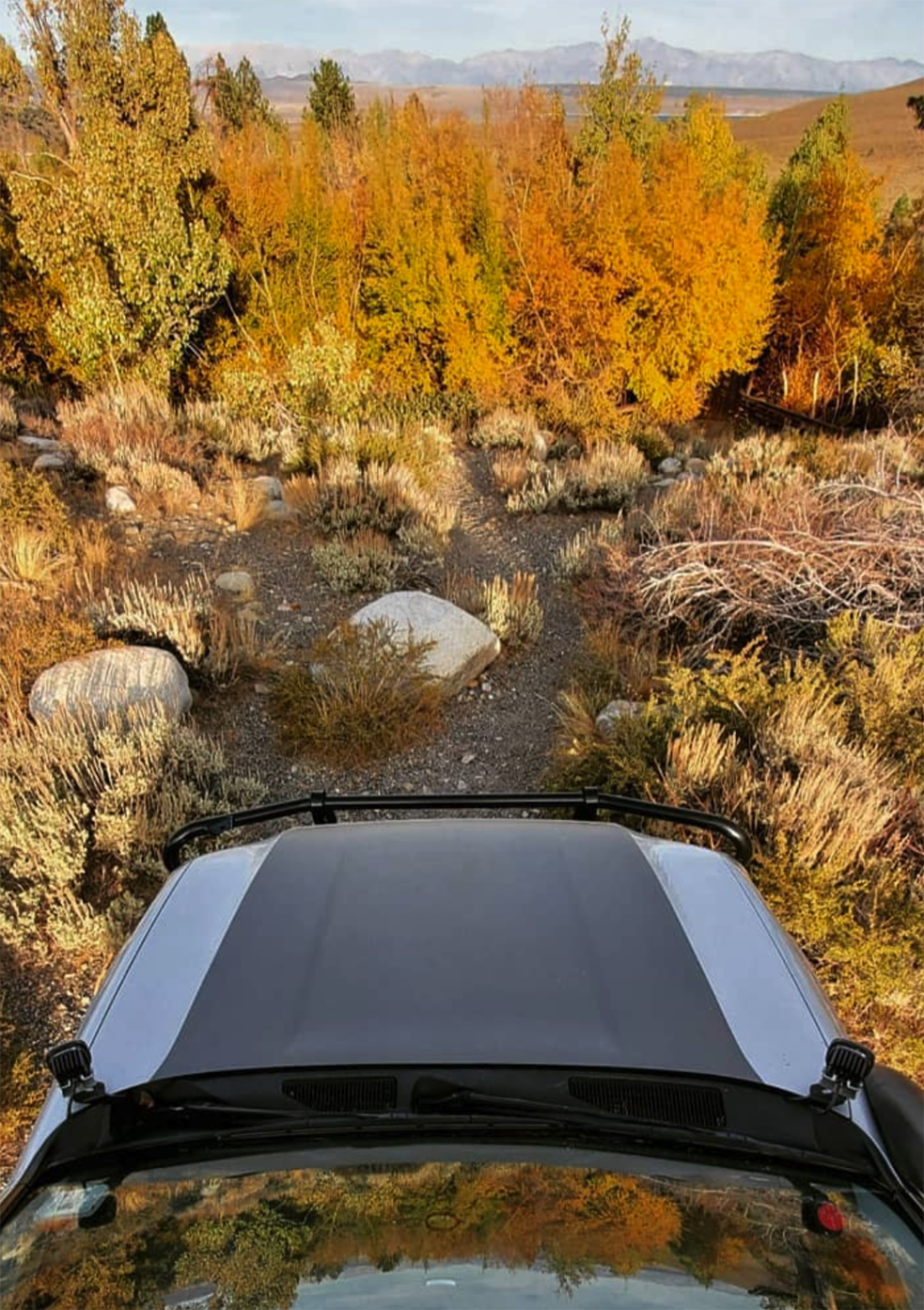 Lexus GX460 Hood Stamp
