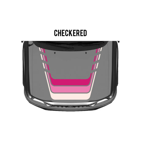 2001-04 Tacoma Checkered Stripe Kit