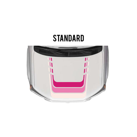 2010-2024 4Runner Checkered Stripe Kit