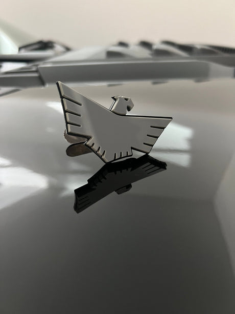 Alpine Bird Insert - Xtrusion Overland