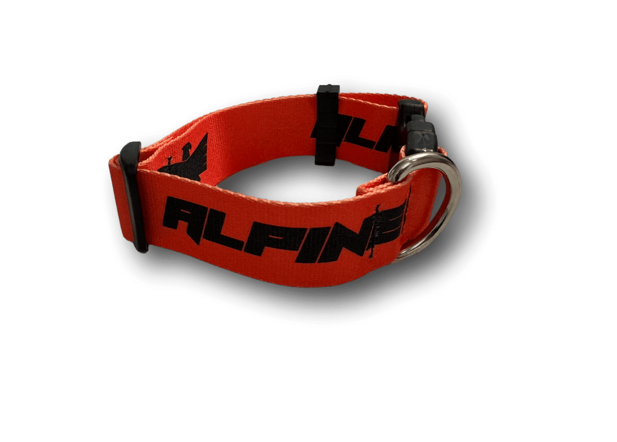 ALPINE Dog Collars - Xtrusion Overland