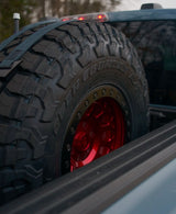 Alpine Double Eagle Straps- Essentials (single strap) - Xtrusion Overland