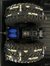 Alpine Double Eagle Straps- Gold and Black (single strap) - Xtrusion Overland