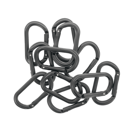 Carabiner (Individual) - Xtrusion Overland