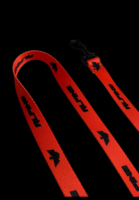 Clearance - ALPINE Dog Leash - Xtrusion Overland