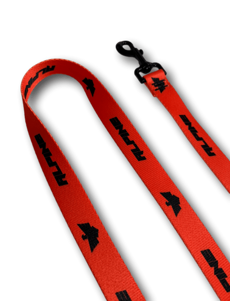 Clearance - ALPINE Dog Leash - Xtrusion Overland