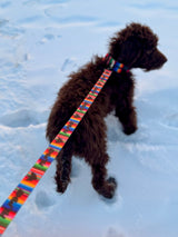 Clearance - ALPINE Dog Leash - Xtrusion Overland