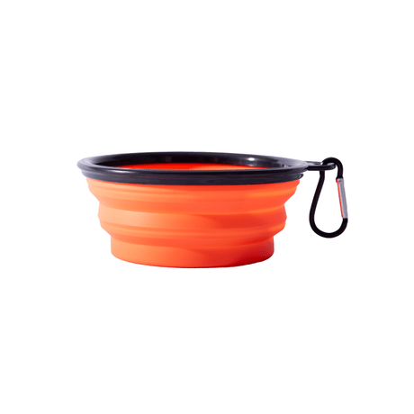 Collapsible Dog Bowl - Xtrusion Overland