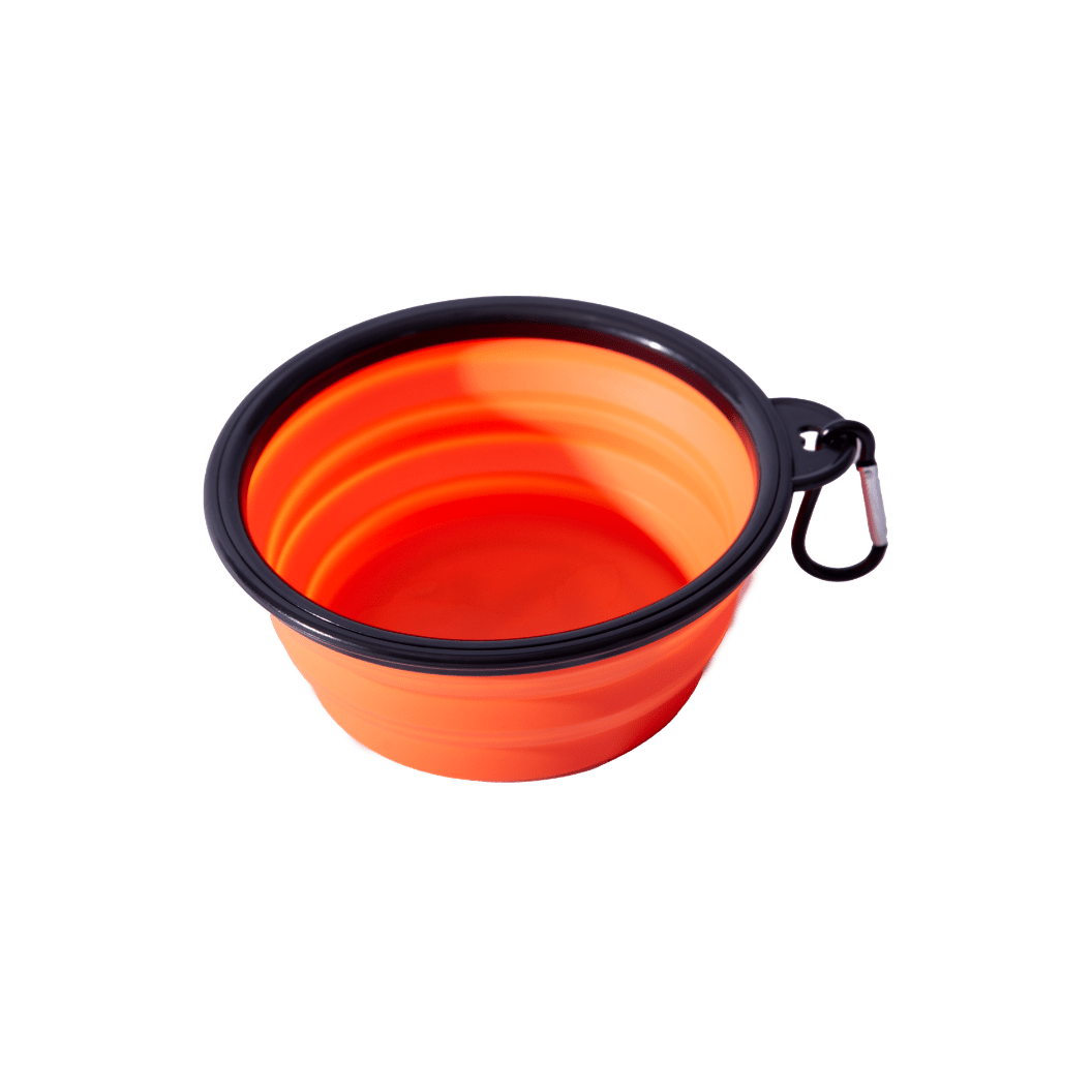 Collapsible Dog Bowl - Xtrusion Overland