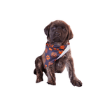 Dog Bandana - Xtrusion Overland