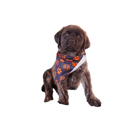 Dog Bandana - Xtrusion Overland