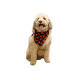 Dog Bandana - Xtrusion Overland
