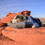 Klymit Luxe Camping Pillow