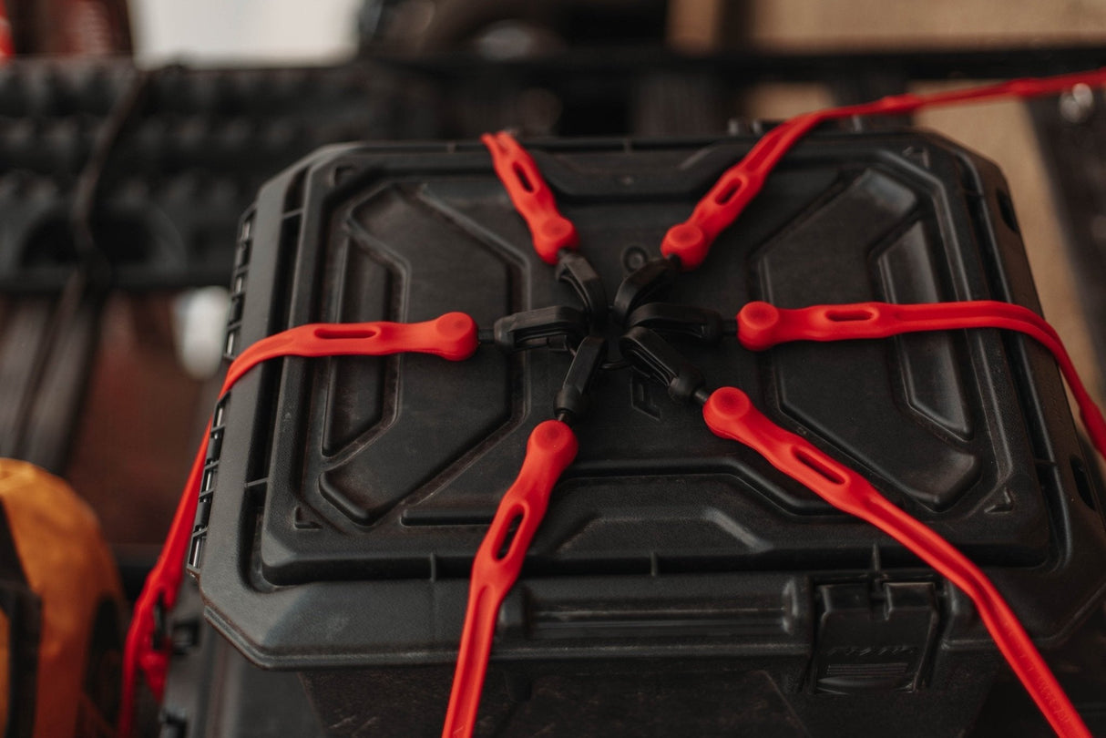 FlexWeb Cargo Net - Adjustable M-XXL Web Style Net - Xtrusion Overland