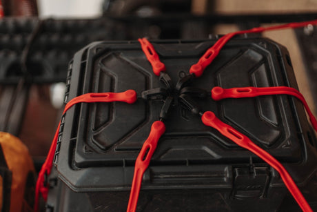 FlexWeb Cargo Net - Adjustable M-XXL Web Style Net - Xtrusion Overland