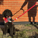 G.O. Overlanding Dog Leash - Xtrusion Overland