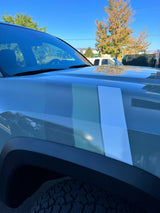 Large Universal Stripes
