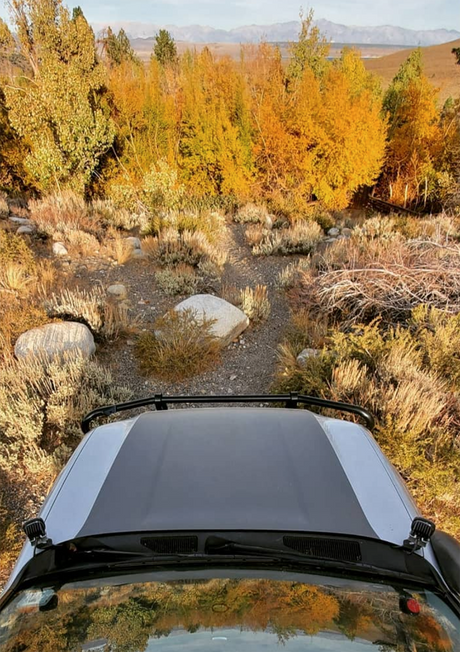 Lexus GX460 Hood Stamp - Xtrusion Overland