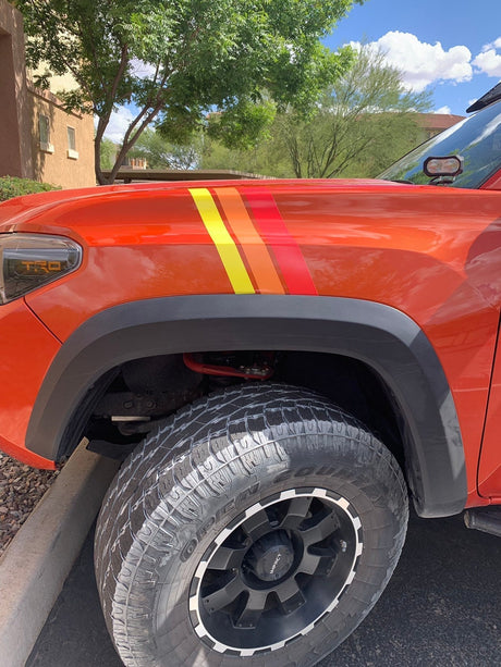 Medium Universal Stripes - Xtrusion Overland