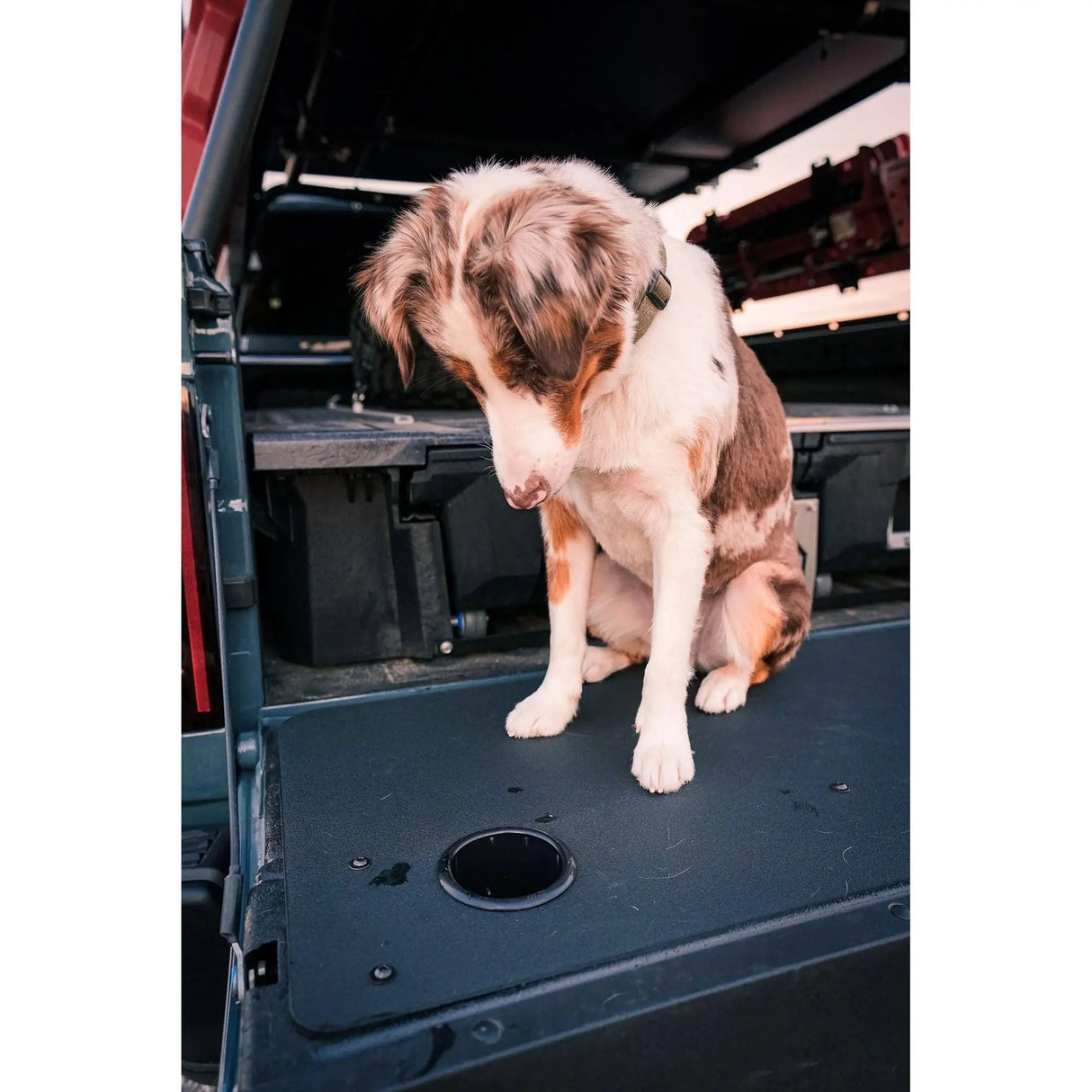 Ram Truck (2010-2020) 1500/2500/3500 Tailgate TrailGate Insert with cup holders and a dog on the TrailGate