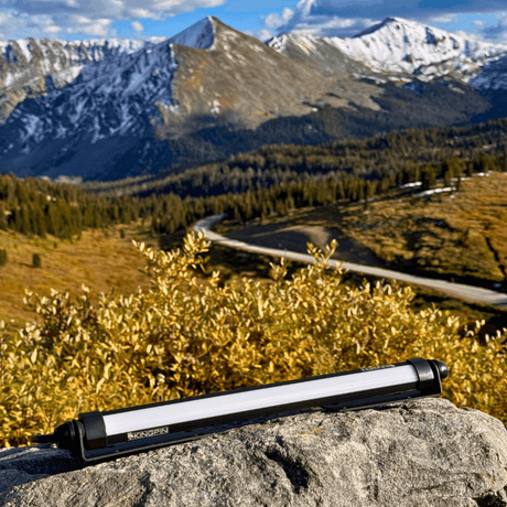 V-Series 12" Light - Xtrusion Overland