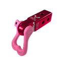 XL 3/4 Shackle and Mohawk 2.0 Receiver Combo - Xtrusion Overland