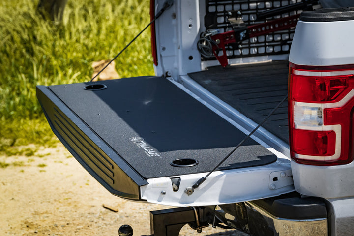 Ford F-150 / Gen 2 Raptor Tailgate Insert